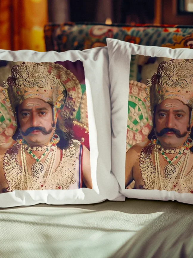 Ravan Printed Cushion set of 2